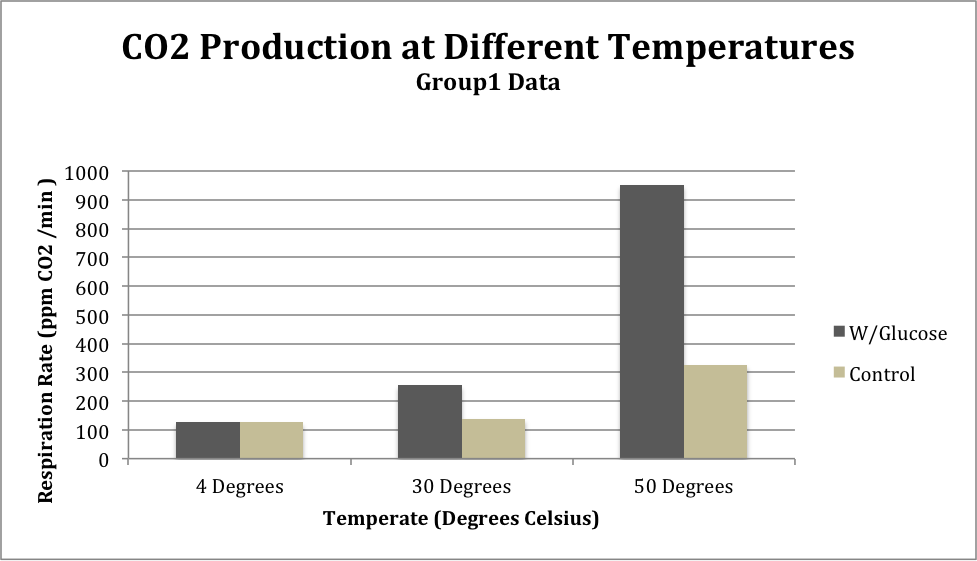 Cheap write my essay the effect of different temperature on the cell respiration.