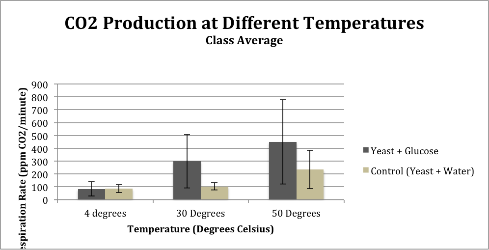 Cheap write my essay the effect of different temperature on the cell respiration.