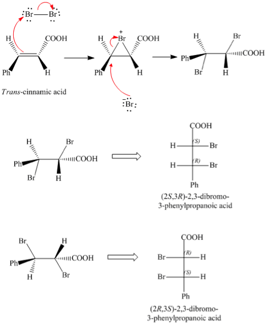 stereochemistry of bromine addition to trans cinnamic acid