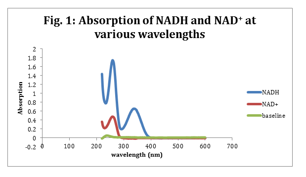 Absorption of NADH