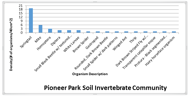 Pioneer Park Soil Invertebrate Community