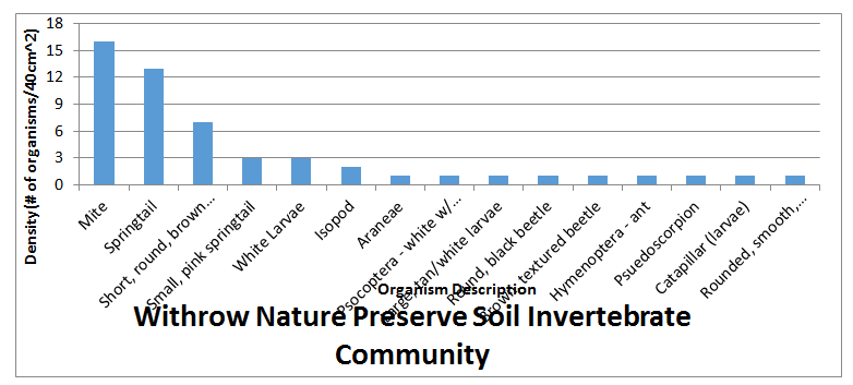 soil invertebrates