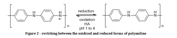 oxidised and reduced forms of polyaniline