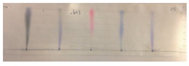 Chromatograph 4