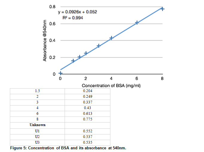 Concentration of BSA and its absorbance