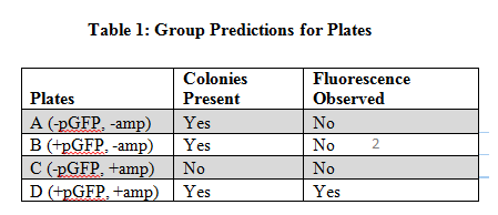 Escherichia Coli- Group Predictions for Plates