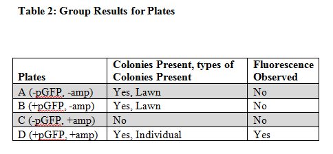 Group Results for Plates