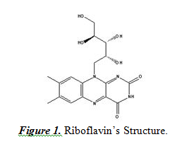 Riboflavin's Structure