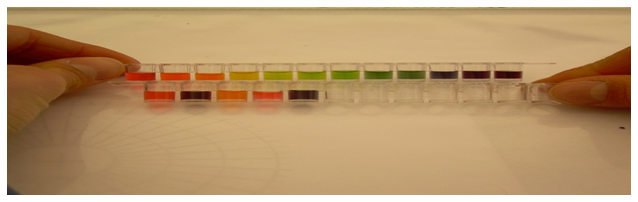 calorimetric pH meter 2