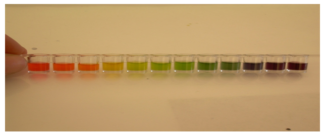 calorimetric pH meter