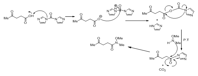 dimethylhydroxylamine hydrochloride