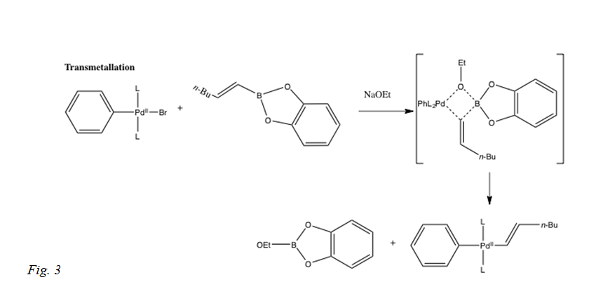 transmetallation