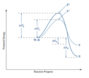 Kinetic Control Kinetic and Thermodynamic Control of a Reaction - Odinity